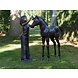 Bronzen meisje met veulen Bronzen meisje met veulen