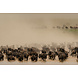 Glasmalerei Büffel- und Zebraherde 80x120cm. Glasmalerei Büffel- und Zebraherde 80x120cm.