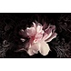 Glasmalerei Moderne rosa Blume 80x120cm. Matteffekt Glasmalerei Moderne rosa Blume 80x120cm. Matteffekt