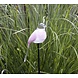 Glas vogel op tuinsteker hangende staart roze 90cm. Glas vogel op tuinsteker hangende staart roze 90cm.