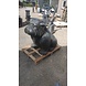 Beeld hond supergroot Bulldog 110cm Beeld hond supergroot Bulldog 110cm