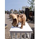 Houten beeld nijlpaard open bek Houten beeld nijlpaard open bek