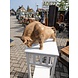 Houten beeld Sina stier Houten beeld Sina stier