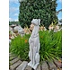 Beeld hond Hazewind 78cm Beeld hond Hazewind 78cm