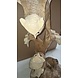Beeld hout Uil met baby's 80cm Beeld hout Uil met baby's 80cm
