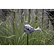 Glazen vogel op tuinsteker zwart/wit 90cm. Glazen vogel op tuinsteker zwart/wit 90cm.