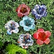 Glazen bloem Lelie blauw -wit 25cm Glazen bloem Lelie blauw -wit 25cm