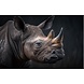 Glasschilderij Neushoorn 110x70cm Glasschilderij Neushoorn 110x70cm