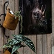 Glasschilderij Neushoorn 110x70cm Glasschilderij Neushoorn 110x70cm