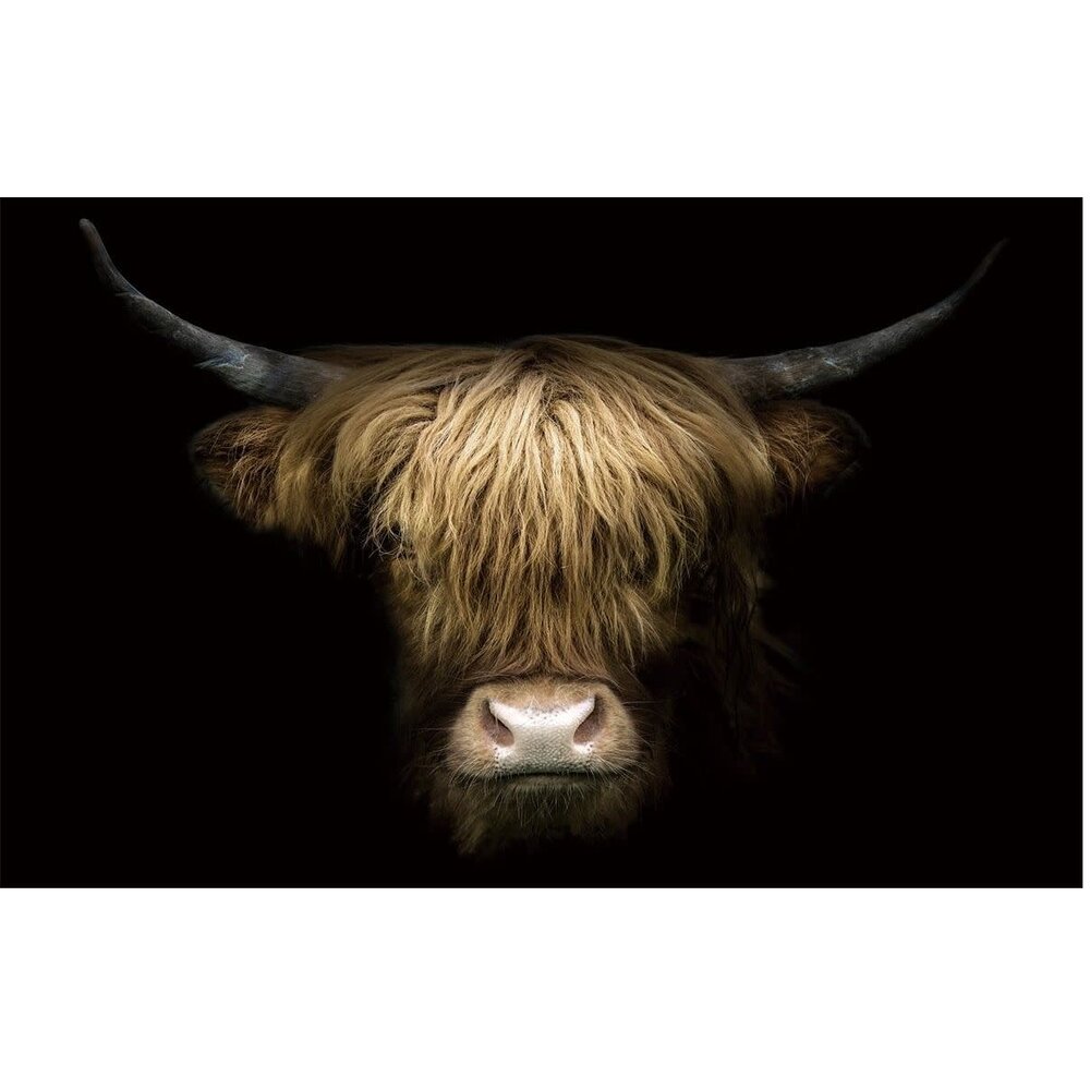 Glasgemälde Schottischer Highlander 110x70cm. Eliassen.nl Eliassen