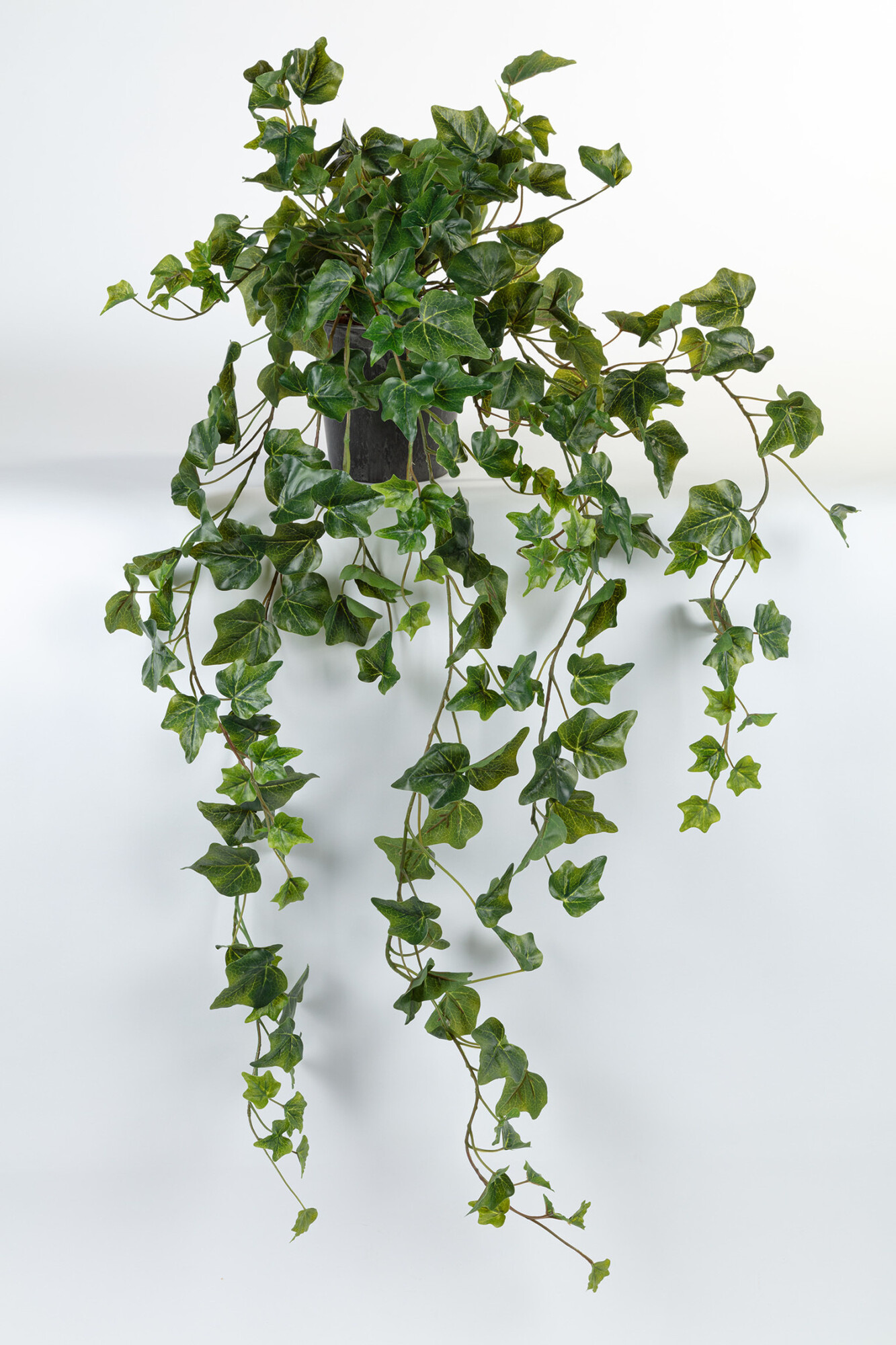 Hanging plant in pot Hedera green 105cm Eliassen.nl Eliassen Home