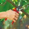 WOLF-Garten WOLF-Garten Snoeischaar "Premium Plus" RS 4000 - aambeeld - max. knipdiameter 25 mm - links- en rechtshandige - softinleg handgreep - snijhoek 30° - voor grote handen - vervangbare messen en aambeeld WOLF-Garten WOLF-Garten Snoeischaar "Premium Plus" RS 4000 - aambeeld - max. knipdiameter 25 mm - links- en rechtshandige - softinleg handgreep - snijhoek 30° - voor grote handen - vervangbare messen en aambeeld