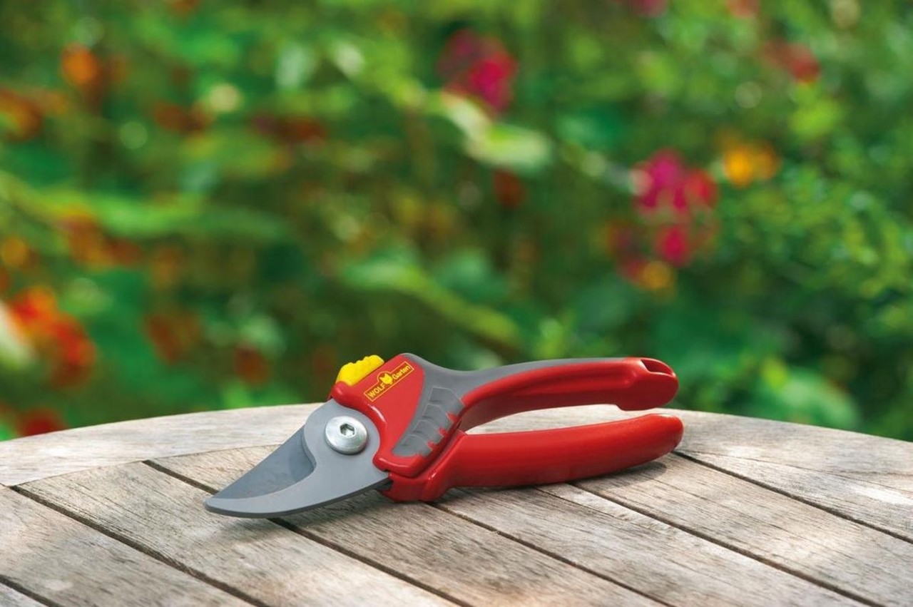 WOLF-Garten WOLF-Garten Snoeischaar "Comfort Plus" RR 2500 - max. knipdiameter 22 mm - links- en rechtshandige - softinleg handgreep - snijhoek 30° WOLF-Garten WOLF-Garten Snoeischaar "Comfort Plus" RR 2500 - max. knipdiameter 22 mm - links- en rechtshandige - softinleg handgreep - snijhoek 30°