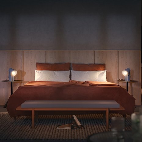 Philips Philips Hue Slimme Lichtbron E27 Duopack - White Ambiance - 8,5W - Bluetooth - 2 Stuks Philips Philips Hue Slimme Lichtbron E27 Duopack - White Ambiance - 8,5W - Bluetooth - 2 Stuks