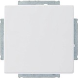 ABB Busch-Jaeger Busch-Jaeger Future Linear kruisschakelaar Mat Wit ABB Busch-Jaeger Busch-Jaeger Future Linear kruisschakelaar Mat Wit