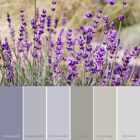 Jeanne d' Arc Living Krijtverf - Vintage Paint - Jeanne d'Arc Living - 'French Lavender' - 700 ml Jeanne d' Arc Living Krijtverf - Vintage Paint - Jeanne d'Arc Living - 'French Lavender' - 700 ml