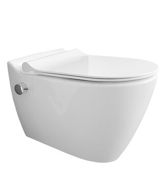 Sanitear Wandcloset met bidet Mineraal HYG01 met zitting