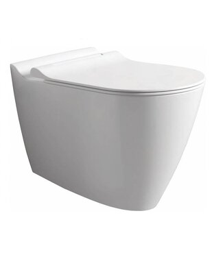 Sanitear MINERAAL, Wandcloset met bidet