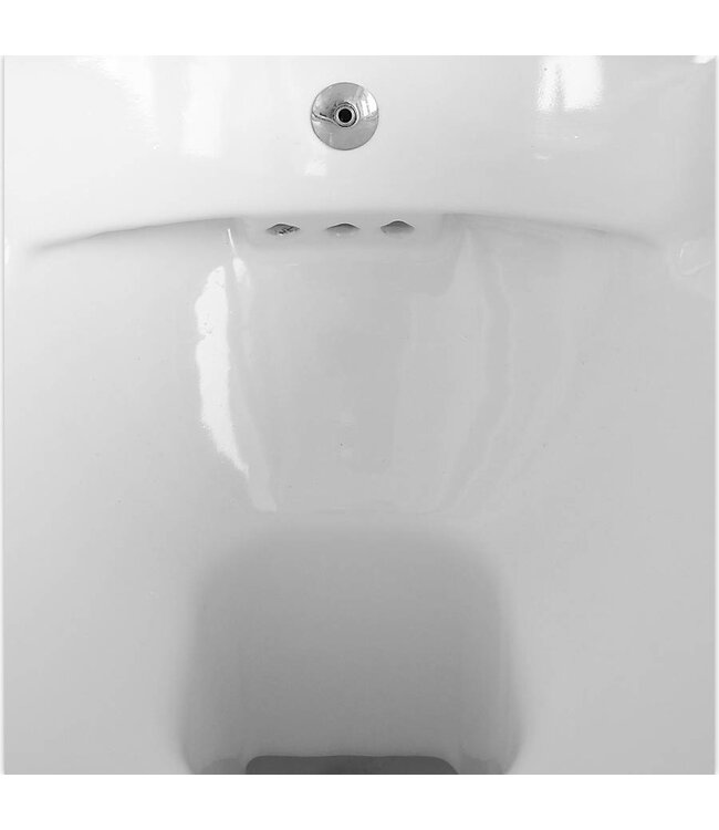 Sanitear Antibacterieel ,Antikalk MINERAAL Rimless Wandcloset met bidet