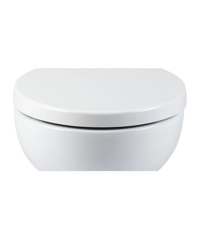 Sanitear Universale Toepassing EGGE Softclose wc bril + Deksel, Afneembaar