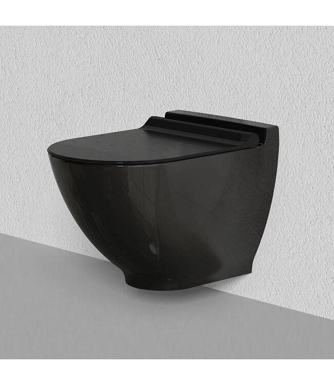 Sanitear Toiletbril softclose, Capri Selection 352.Zwart, afneembaar, Quick Release