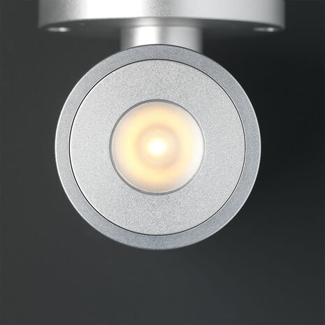 Hamulight LED Wandspot grijs rond Hamulight LED Wandspot grijs rond