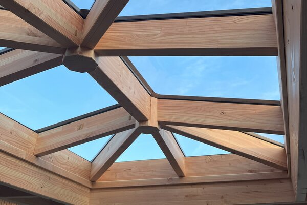 Pext Lichtstraat Schilddak Pext Lichtstraat Schilddak