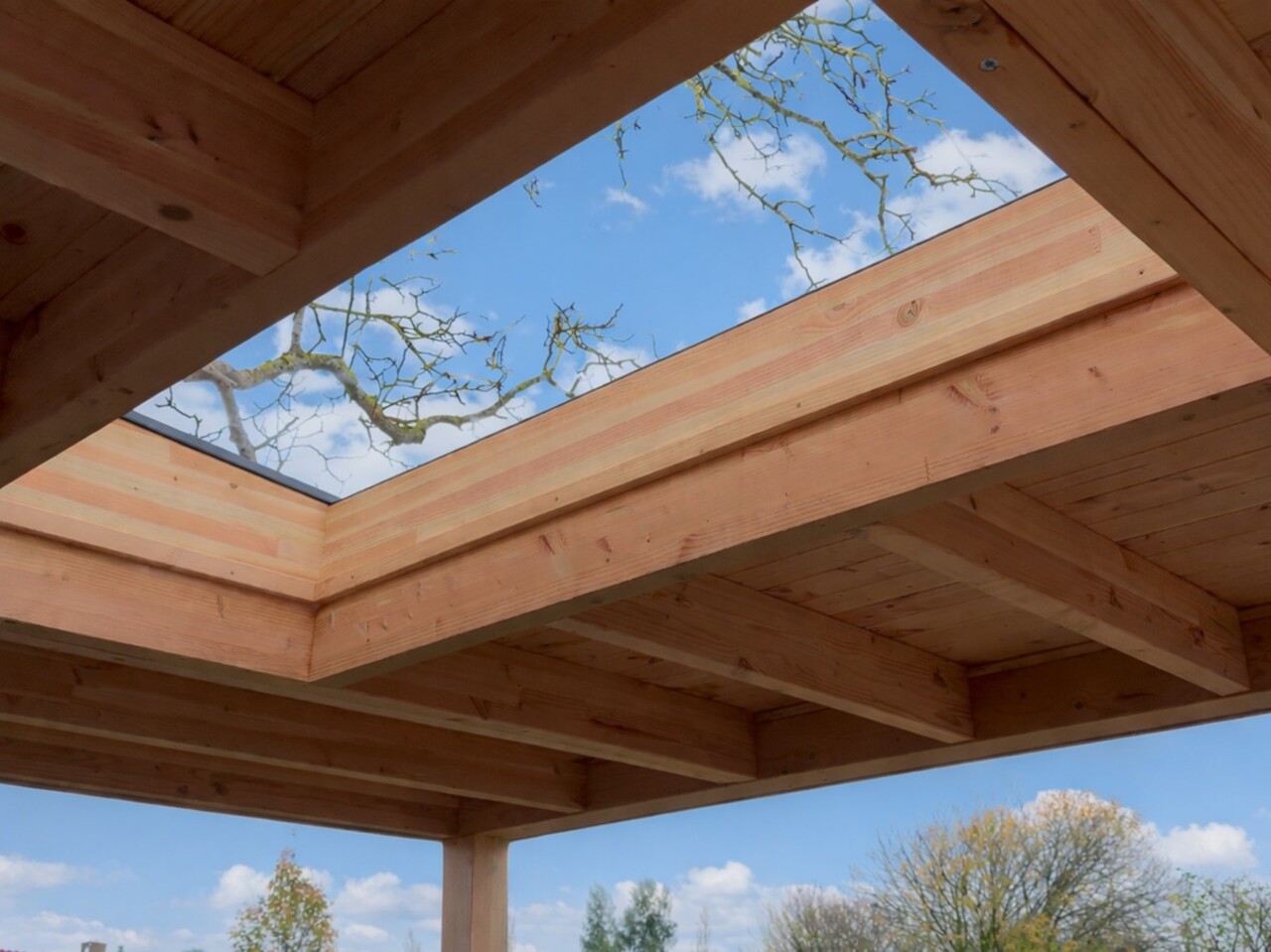 Pext Lichtstraat Daklicht