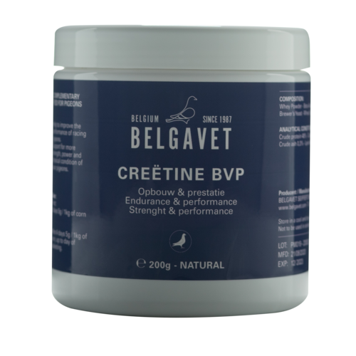 CREËTINE  (200 gr/1 kg) - Improves performance