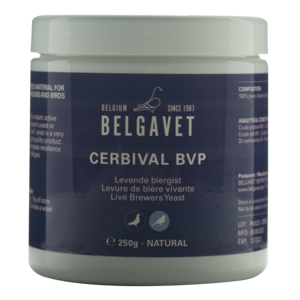 CERBIVAL (250 gr/1 kg) - Actieve biergist
