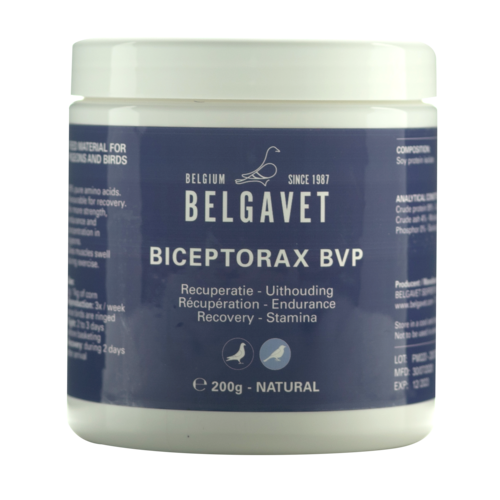 BICEPTORAX (200gr/1 kg) - RÃ©cupÃ©ration