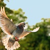 Welcome to our blog... enjoy reading it