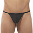 Gregg Homme Torridz string