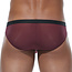 Gregg Homme Torridz brief