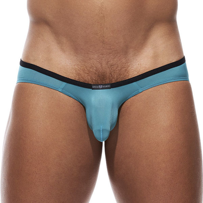 Gregg Homme Voyeur brief