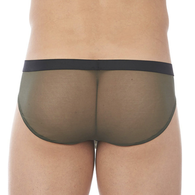 Gregg Homme Erupt brief