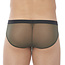 Gregg Homme Erupt brief