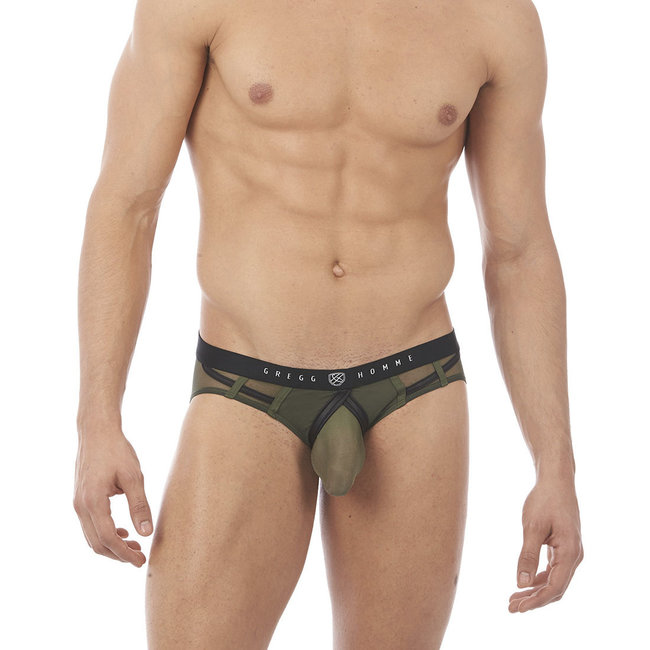 Gregg Homme Erupt brief