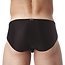 Gregg Homme Voyeur brief