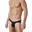 Gregg Homme Voyeur brief