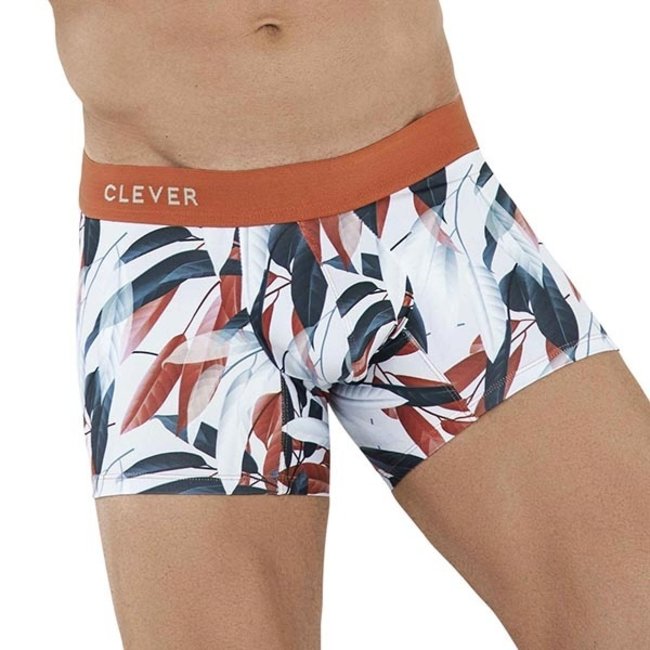 Clever Tesino boxershort