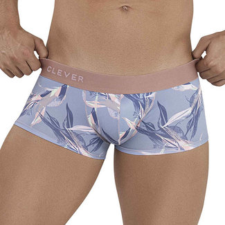 Clever Clever Arcane latin boxershort