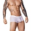 Pikante Blaze<br />
  latin boxershort