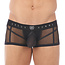 Gregg Homme Erupt boxer brief