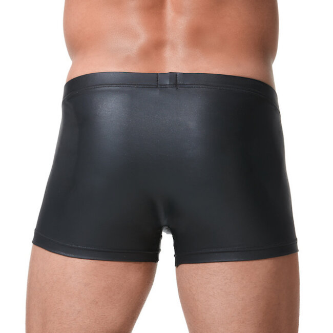 Gregg Homme Crave boxer brief