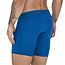 Clever Arctic long boxershort