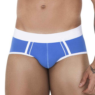 Clever Clever Tethis brief