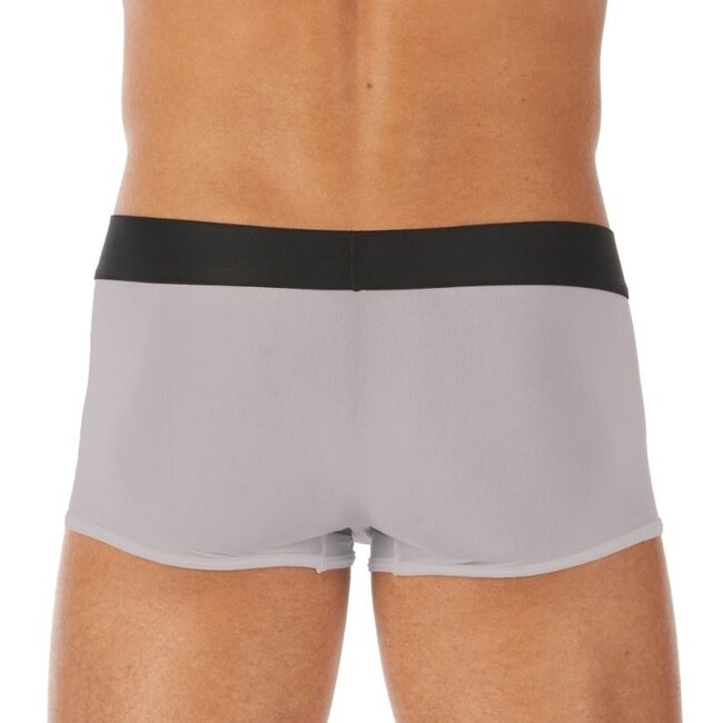 Gregg Homme Torridz boxer