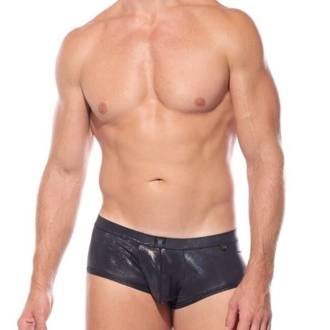 Gregg Homme Boytoy voltz boxer