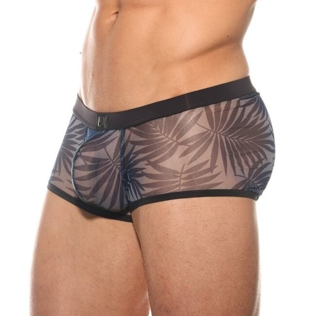 Gregg Homme Outline boxer